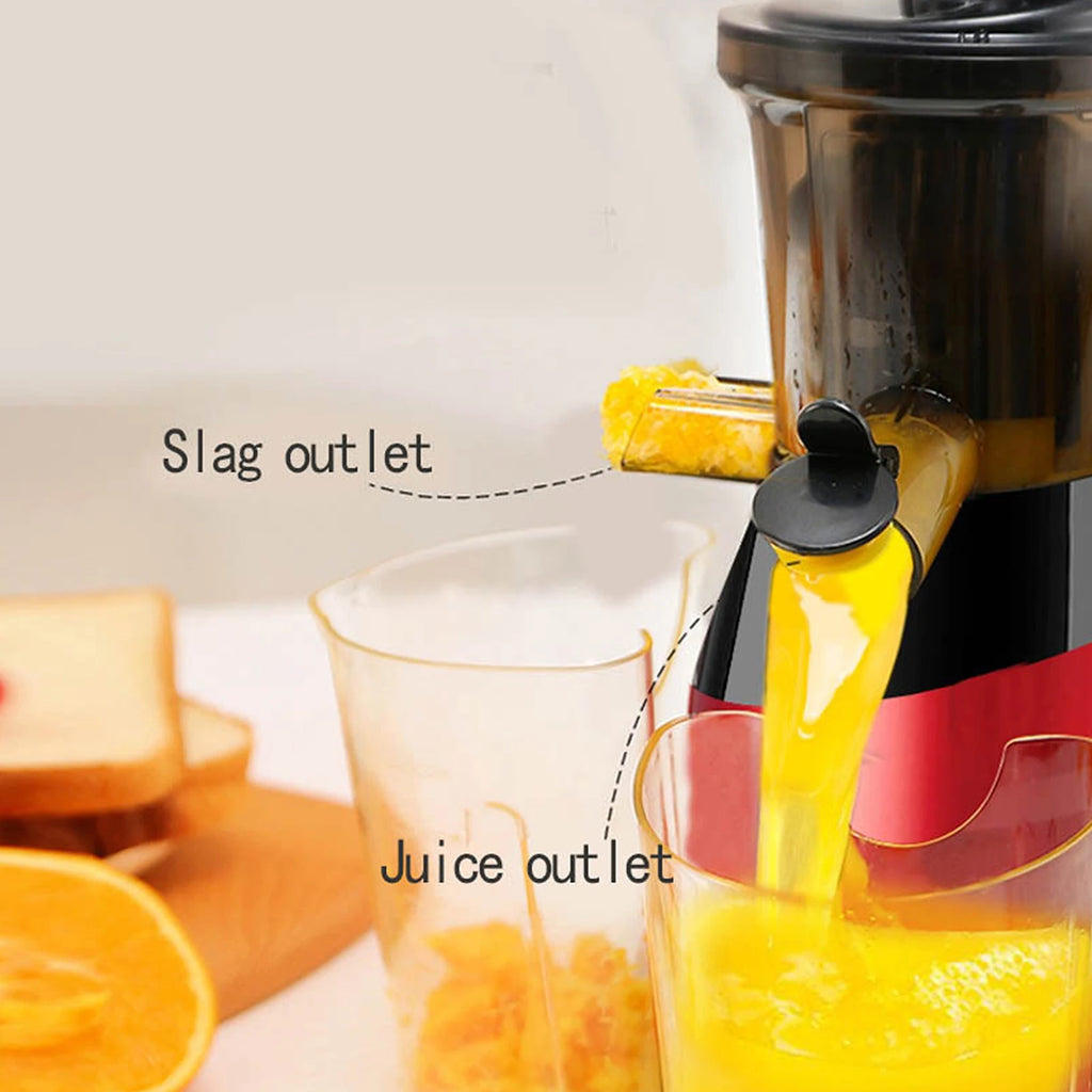 Juicer Machines Slow Masticating Juicer Extractor Cold Press Juicer with Two Speed Modes Easy to Clean Brush Quiet Motor EU Plug