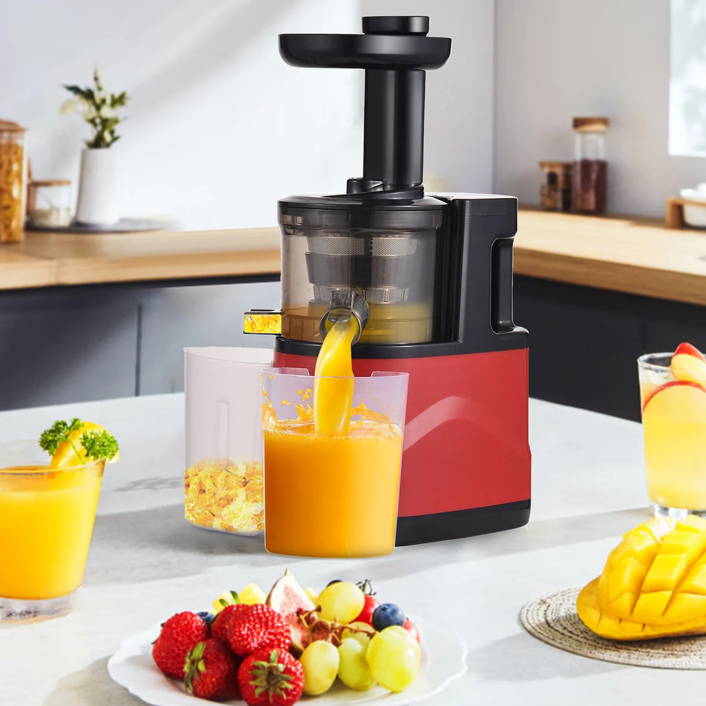 Juicer Machines Slow Masticating Juicer Extractor Cold Press Juicer with Two Speed Modes Easy to Clean Brush Quiet Motor EU Plug